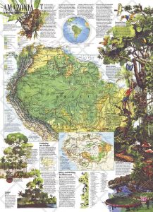 Amazonia, a World Resource At Risk  -  Published 1992 Map