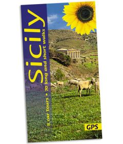 Sunflower - Landscape Series - Sicily