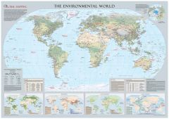 Environmental World Wall Map - Large Map