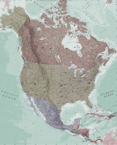 Executive North America Political Map