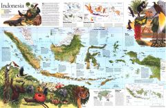 Indonesia Theme  -  Published 1996 Map