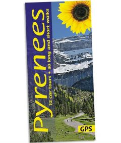 Sunflower - Landscape Series - Pyrenees