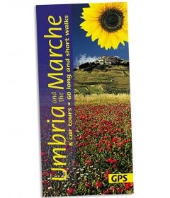 Sunflower - Landscape Series - Umbria & The Marche