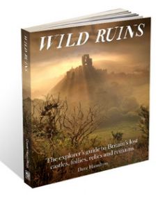 Wild Things - Wild Ruins