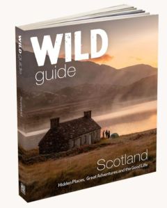 Wild Things - Wild Guide Scotland