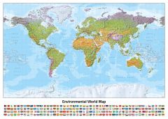 World Environmental (Miller projection) Map