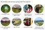 Ordnance Survey Short Walks Made Easy (Novice) - Snowdonia