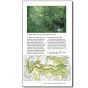 OS Outstanding Circular Walks - Pathfinder Guide - Dartmoor